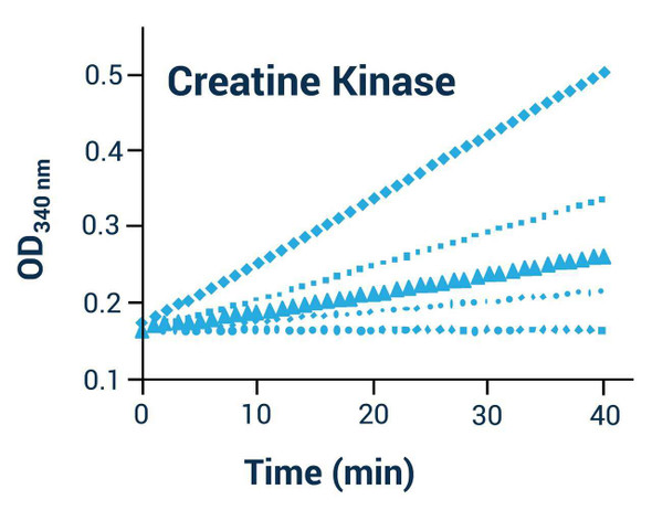 Metabolism Assays Creatine Kinase Activity Assay Kit Colorimetric BA0094