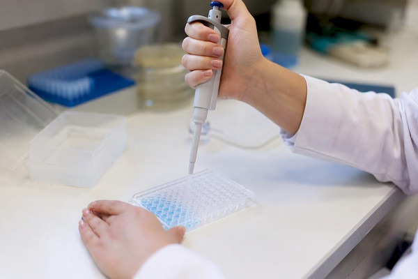 Kompetitiver ELISA im Labor: Startwerte 1–10 µg/mL, Fehlerbehebung