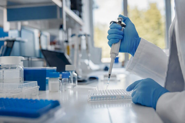 Six étapes pour un protocole ELISA sandwich reproductible en laboratoire