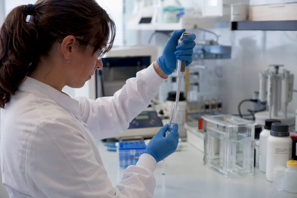 Investigadores: 5 preguntas para elegir ELISA o Western blot