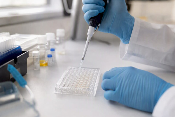 Investigadores: elegir ELISA sandwich o indirecto con kits validados