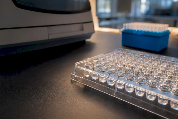 Bridging ELISA sicher validieren: Praxisleitfaden für Antikörpernachweis