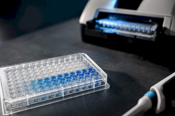 Une courbe par plaque pour la courbe standard ELISA au laboratoire