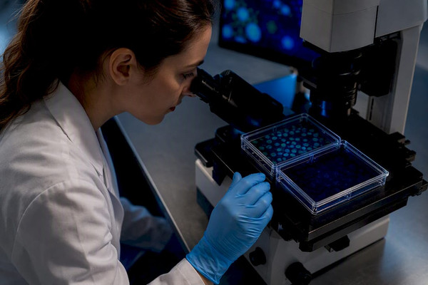 Anticuerpos validados con KO y ensayo ortogonal para investigadores