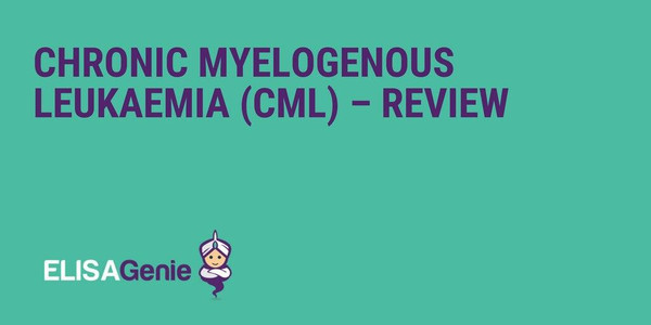Chronic myelogenous leukaemia (CML) – Review