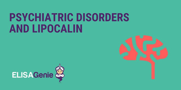 Psychiatric disorders and lipocalin