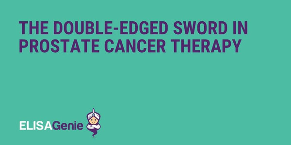The double-edged sword in prostate cancer therapy