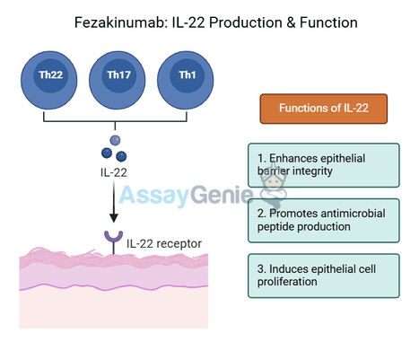 Fezakinumab: Exploring Its Mechanism and Clinical Potential