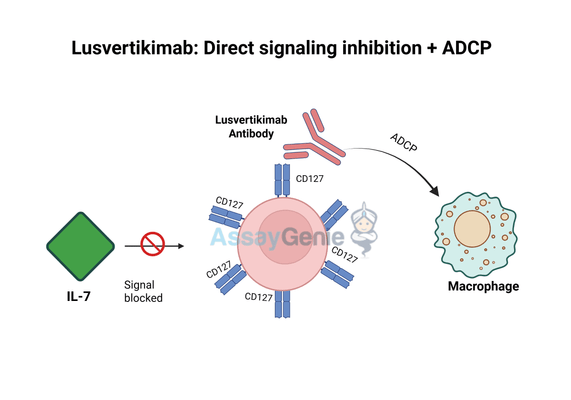 Lusvertikimab: Unveiling the Potential in Immuno-Oncology
