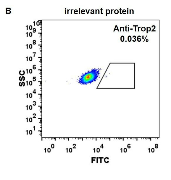 Anti-Trop2 sacituzumab govitecan biosimilar mAb HDBS0023