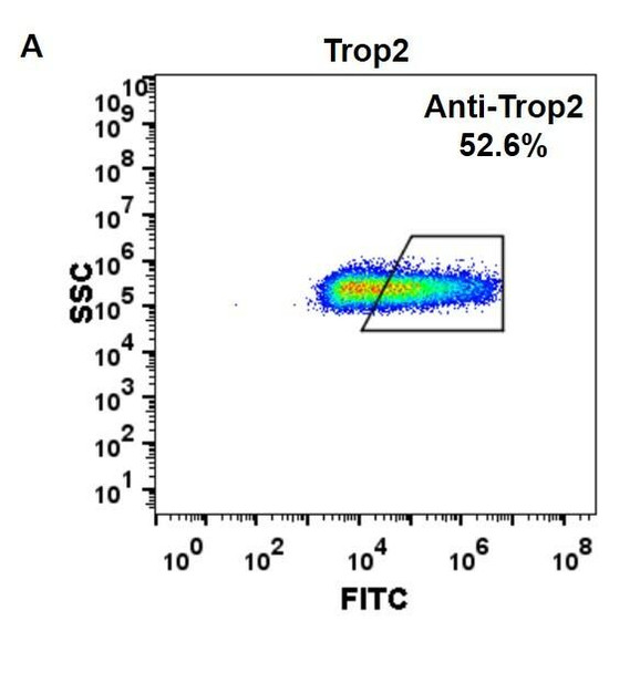 Anti-Trop2 sacituzumab govitecan biosimilar mAb HDBS0023