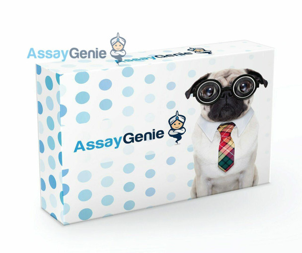 Human CMKLR1 (Chemokine-like receptor 1) ELISA KIT (HUFI05369) Human CMKLR1 (Chemokine-like receptor 1) ELISA KIT (HUFI05369)