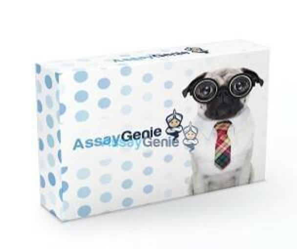 Human CD5L PharmaGenie ELISA Kit (SBRS0392) Human CD5L PharmaGenie ELISA Kit (SBRS0392)