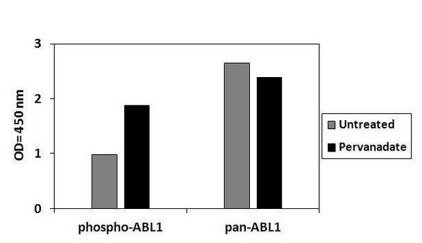 Human Phospho-c-Abl Y245 PharmaGenie ELISA Kit SBRS1738