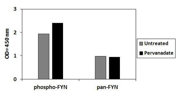 Human Phospho-FYN Y530 PharmaGenie ELISA Kit SBRS1838