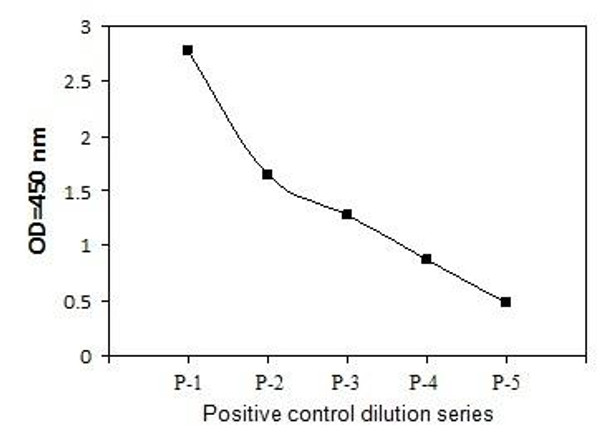 Human, Mouse and Rat Phospho-PDK1 Ser241 and Total PDK1 PharmaGenie ELISA Kit SBRS1929