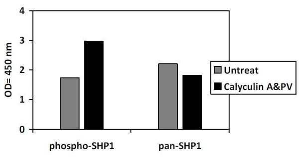 Human and Mouse Phospho-SHP1 S591 and Total SHP1 PharmaGenie ELISA Kit SBRS1965