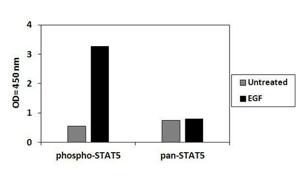 Human Phosphotyrosine STAT4 PharmaGenie ELISA Kit SBRS1989