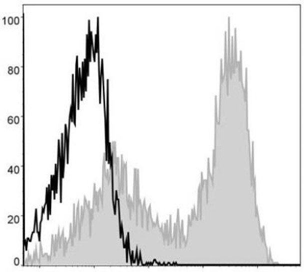 APC Anti-Mouse MHC II (I-A/I-E) Antibody [M5/114] (AGEL0022)