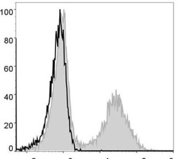 GenieFluor 488 Anti-Mouse MHC II (I-A/I-E) Antibody [M5/114] (AGEL0025)