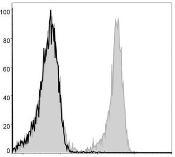 FITC Anti-Mouse CD3 Antibody [17A2] (AGEL0098)