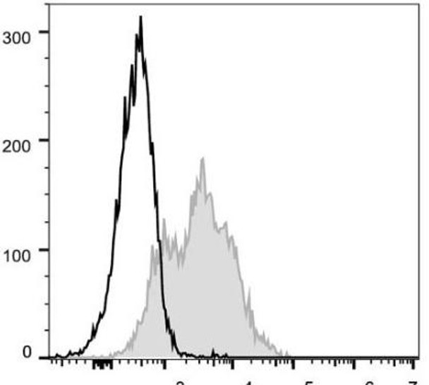 FITC Anti-Mouse CD54 Antibody [YN1/1.7.4] (AGEL0118)