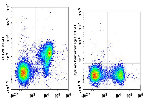 PE Anti-Mouse CD28 Antibody [37.51] (AGEL0137)