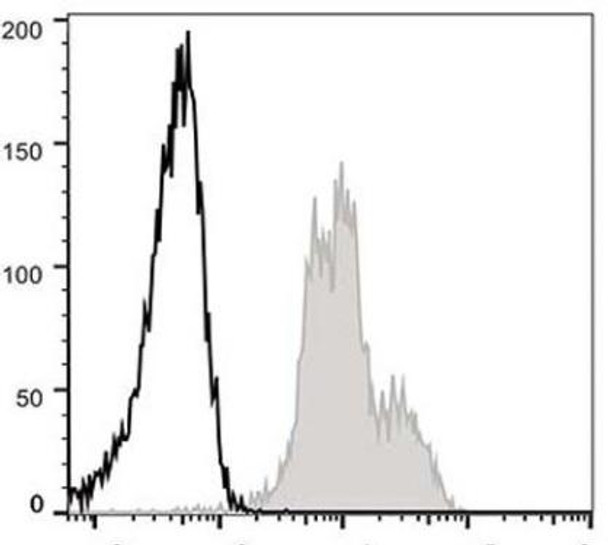 GenieFluor 488 Anti-Mouse CD11a Antibody [FD441.8] (AGEL0157)