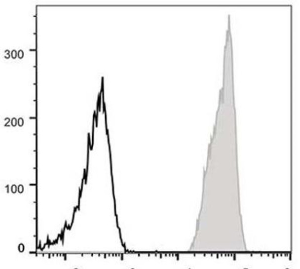 PE Anti-Human CD47 Antibody [CC2C6D4] (AGEL0252)