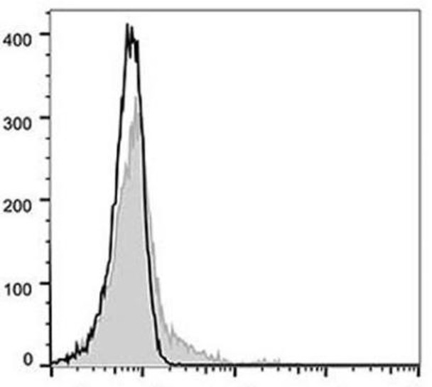 GenieFluor 488 Anti-Human CD32 Antibody [IV-3] (AGEL0293)