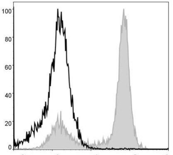 PerCP Anti-Mouse/Human CD11b Antibody [M1/70] (AGEL0309)