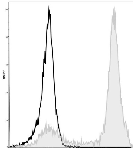 GenieFluor 488 Anti-Mouse/Human CD11b Antibody [M1/70] (AGEL0311)