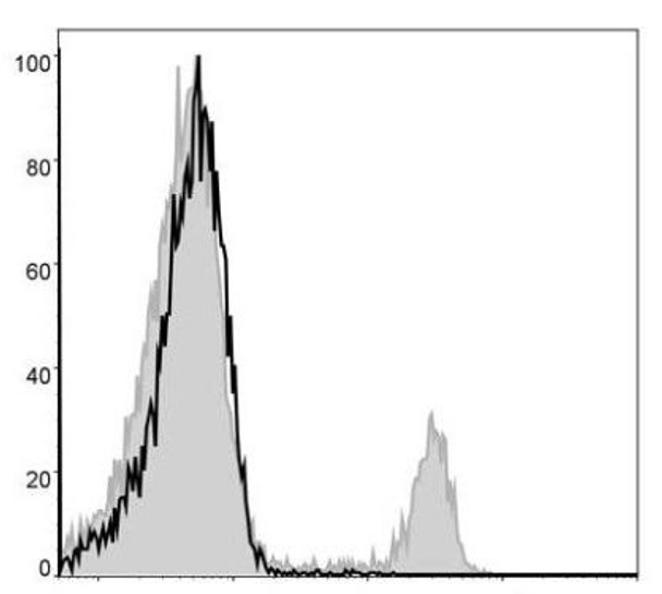 FITC Anti-Mouse CD8a Antibody [53-6.7] (AGEL0380)