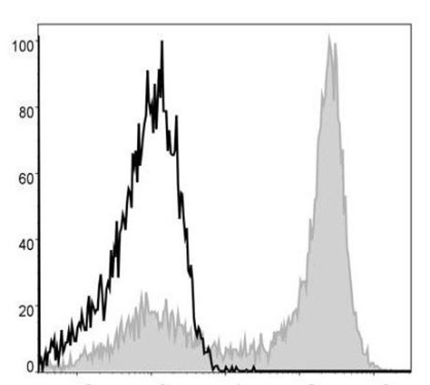 APC Anti-Mouse Ly6G Antibody [1A8] (AGEL0393)