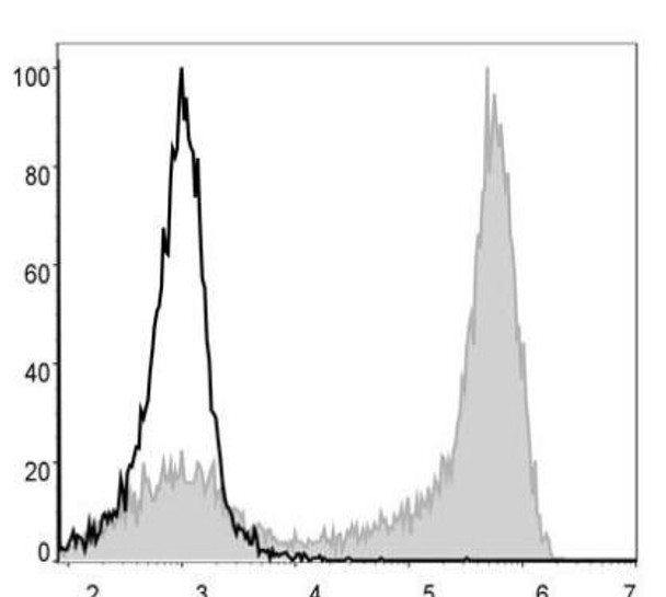 PE/Cyanine5 Anti-Mouse Ly6G Antibody [1A8] (AGEL0395)