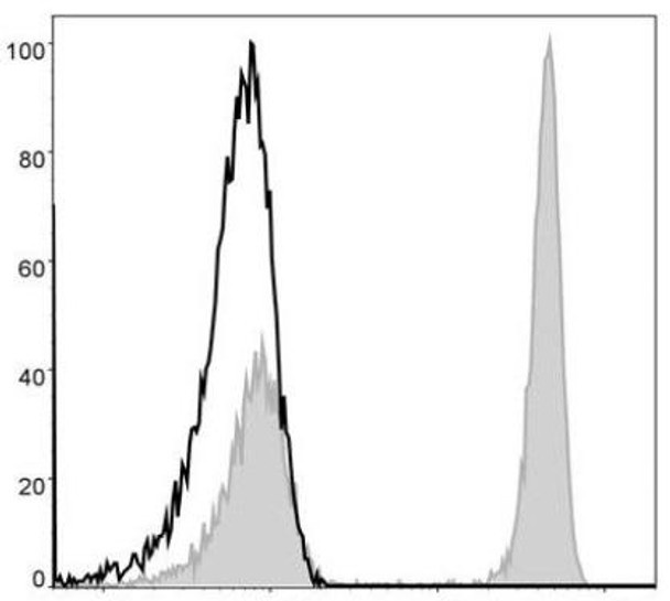 FITC Anti-Human CD4 Antibody [RPA-T4] (AGEL0399)