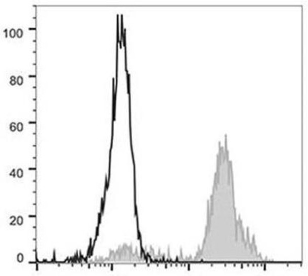 FITC Anti-Human CD11c Antibody [BU15] (AGEL0446)