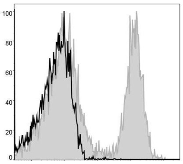 APC Anti-Mouse CD19 Antibody [1D3] (AGEL0471)