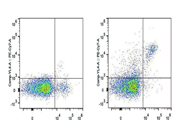 PE/Cyanine7 Anti-Mouse CD161/NK1.1 Antibody [PK136] (AGEL0489)