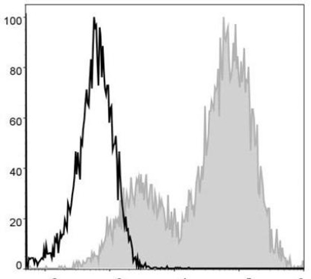 PE/Cyanine5 Anti-Mouse MHC II (I-A/I-E) Antibody [M5/114] (AGEL0503)