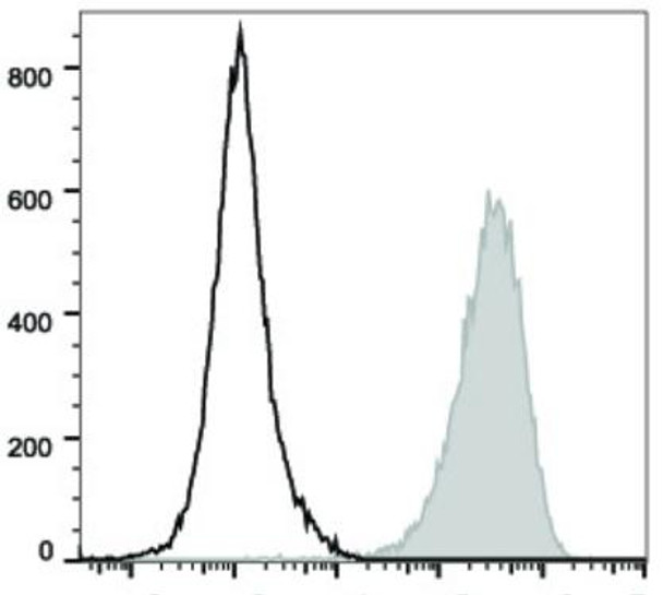 PE/Cyanine5 Anti-Mouse CD80 Antibody [16-10A1] (AGEL0526)