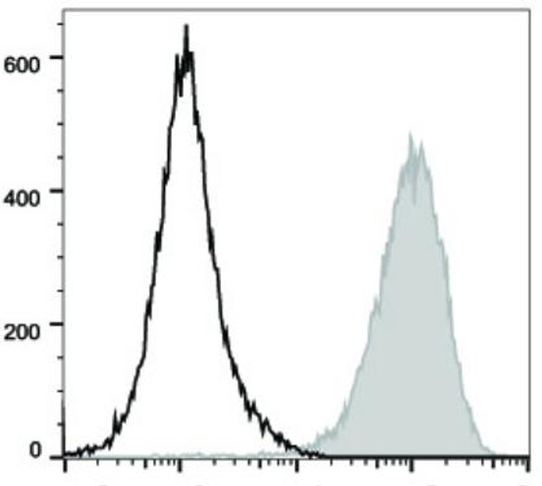 PE/Cyanine5.5 Anti-Mouse CD80 Antibody [16-10A1] (AGEL0528)