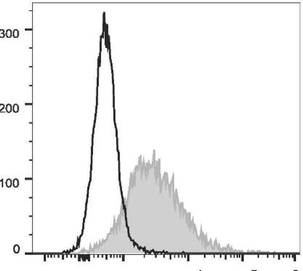 PE Anti-Mouse CD86 Antibody [GL-1] (AGEL0545)