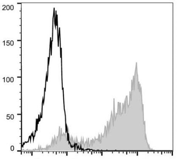 PE Anti-Mouse CD62L Antibody [Mel14] (AGEL0635)