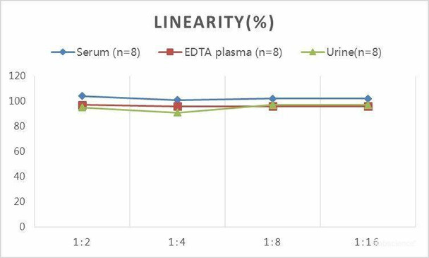 Samples were spiked with high concentrations of Human E3 and diluted with Reference Standard & Sample Diluent to produceSamples with values within the range of the assay.