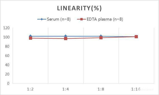 Samples were spiked with high concentrations of Rat E2 and diluted with Reference Standard & Sample Diluent to produceSamples with values within the range of the assay.