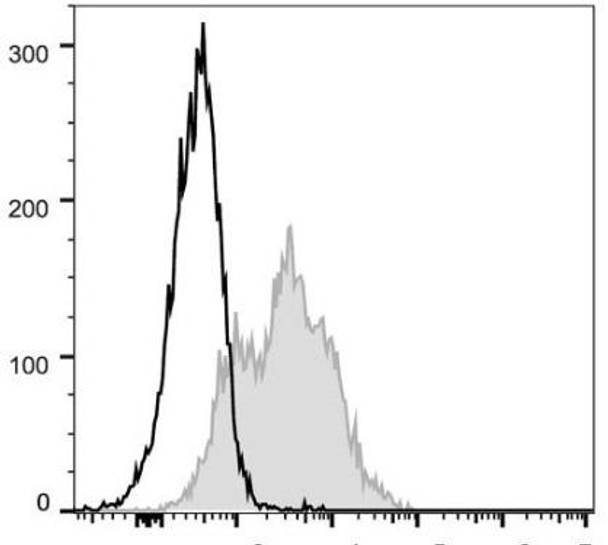 FITC Anti-Mouse CD54 Antibody [YN1/1.7.4] (AGEL0710)