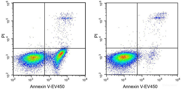 Annexin V-EV450 Azide-Free Lyophilized Powder