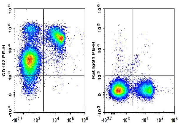 PE Anti-Mouse CD162 Antibody [4RA10] (AGEL0840)