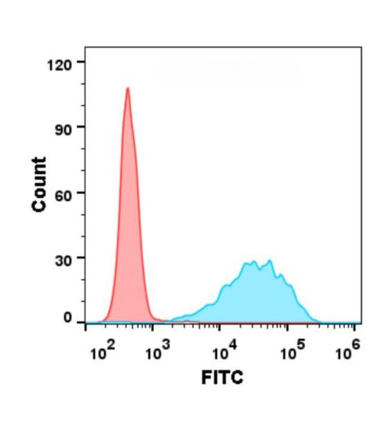 Lemzoparlimab (Anti-CD47) Biosimilar Antibody